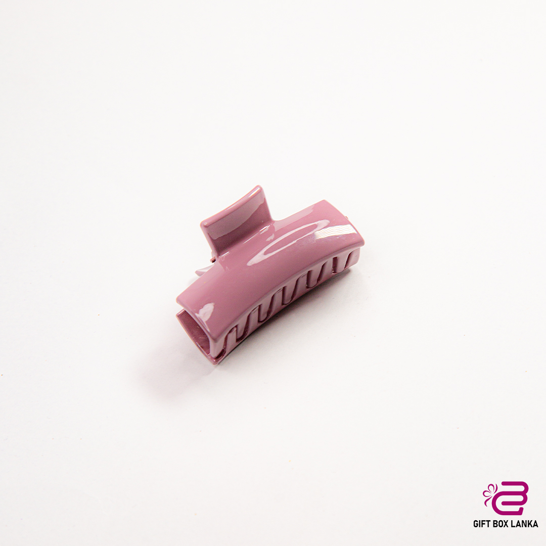 Hair Clips H02 (D- 217)