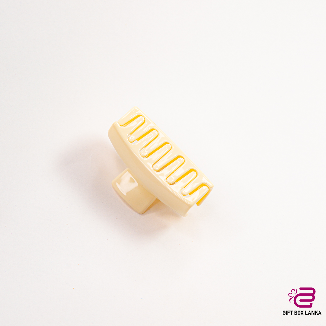 Hair Clips H02 (D- 217)