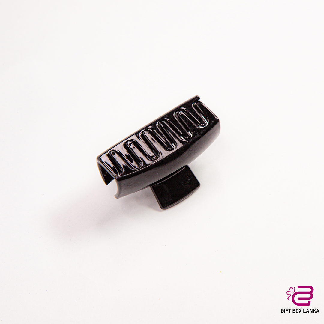 Hair Clips H02 (D- 217)