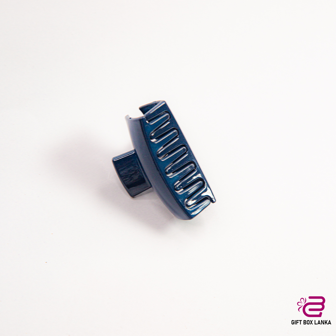 Hair Clips H02 (D- 217)