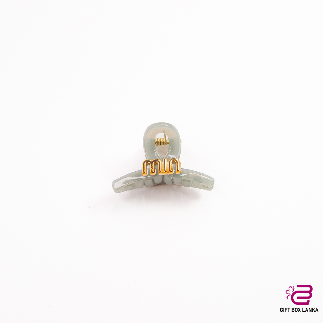 Color Hair Clips  (D- 842)