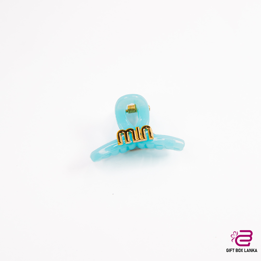 Color Hair Clips  (D- 842)