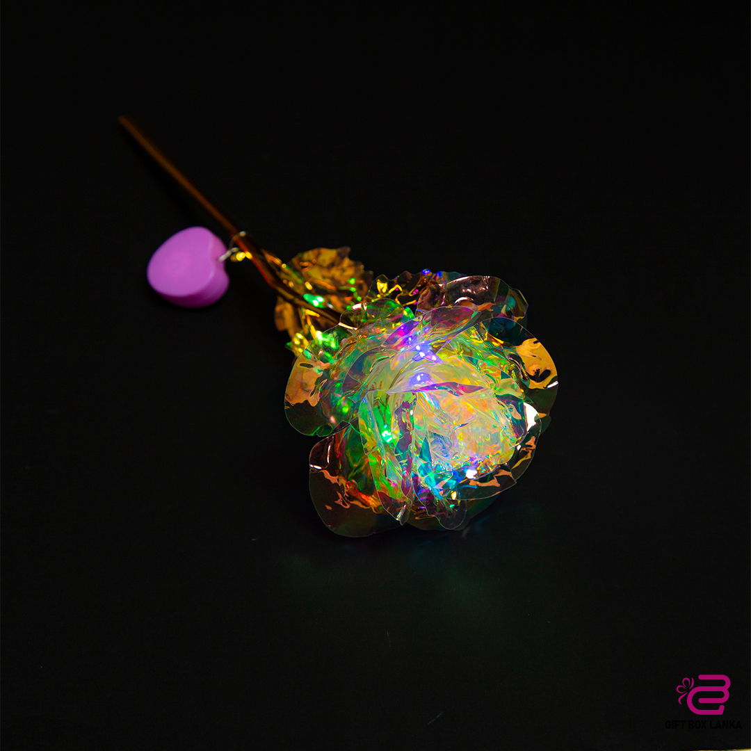 Colorful Luminous Rose Artificial LED Light Flower (D- 1345)
