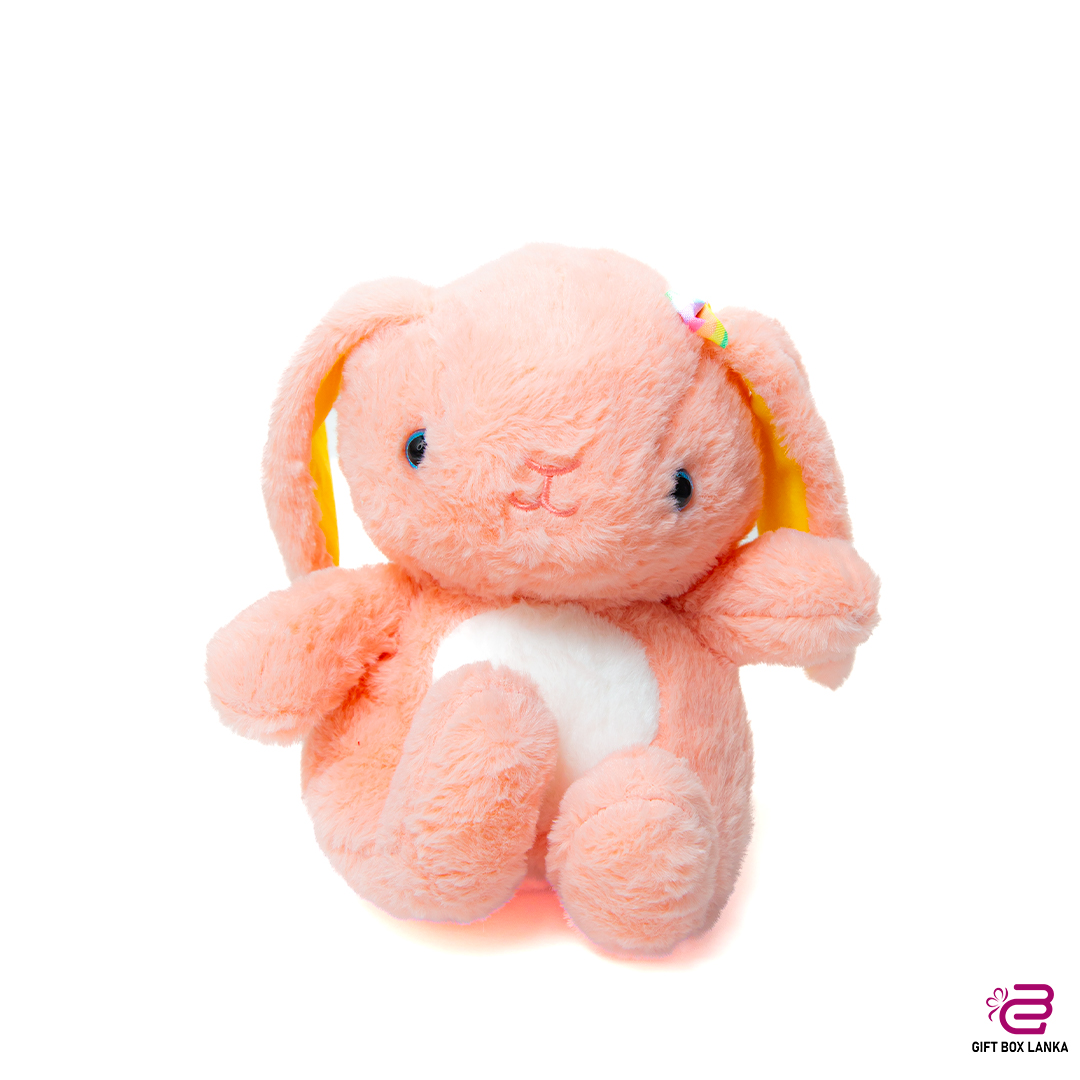Bunny Plush Toy (D- 1373)