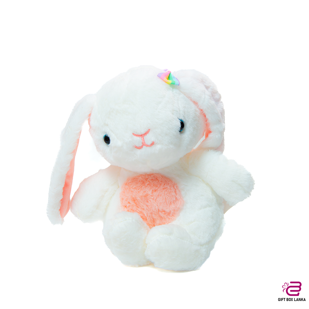 Bunny Plush Toy (D- 1373)