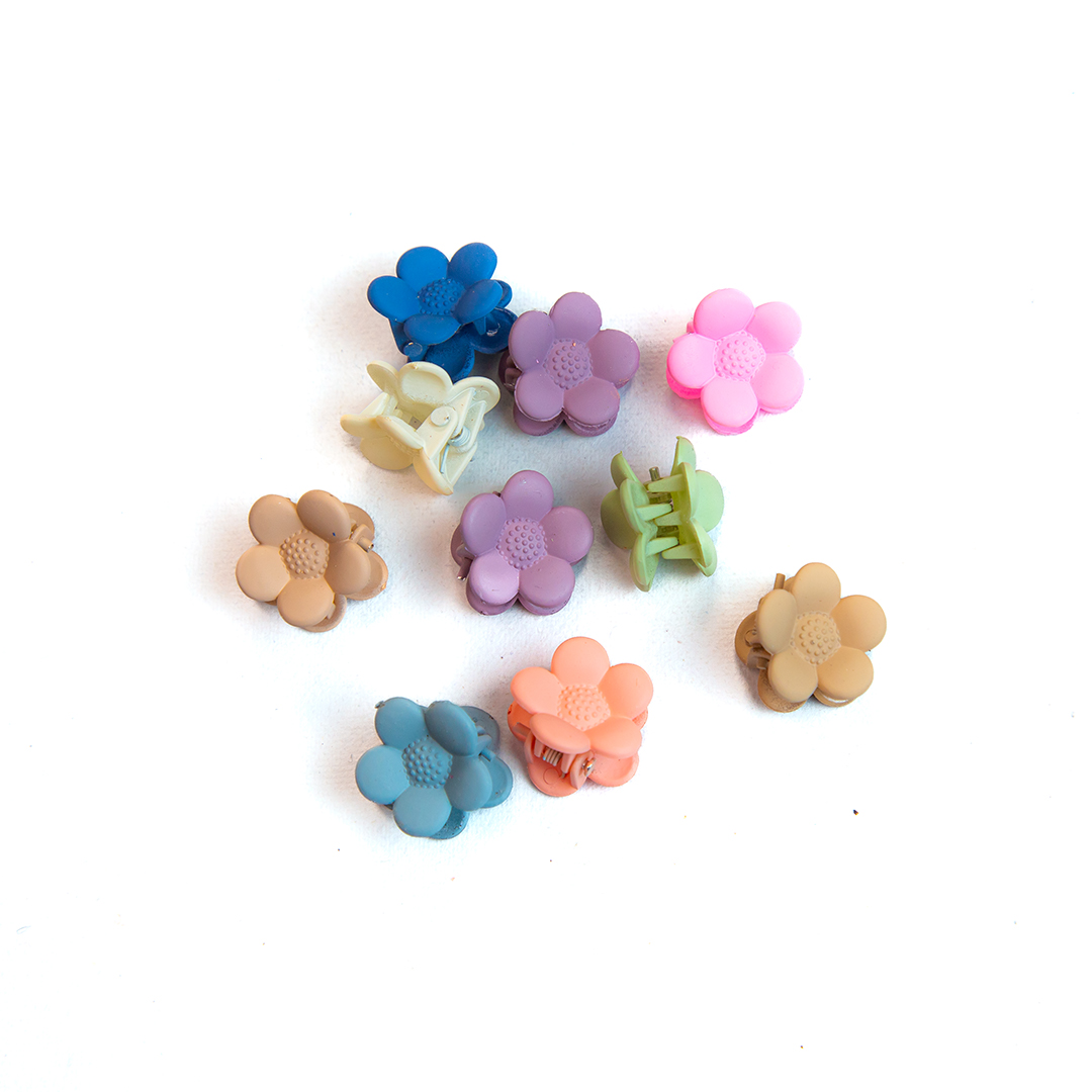 Multicolor 10pcs Flower HairClip Set ( D- 930)