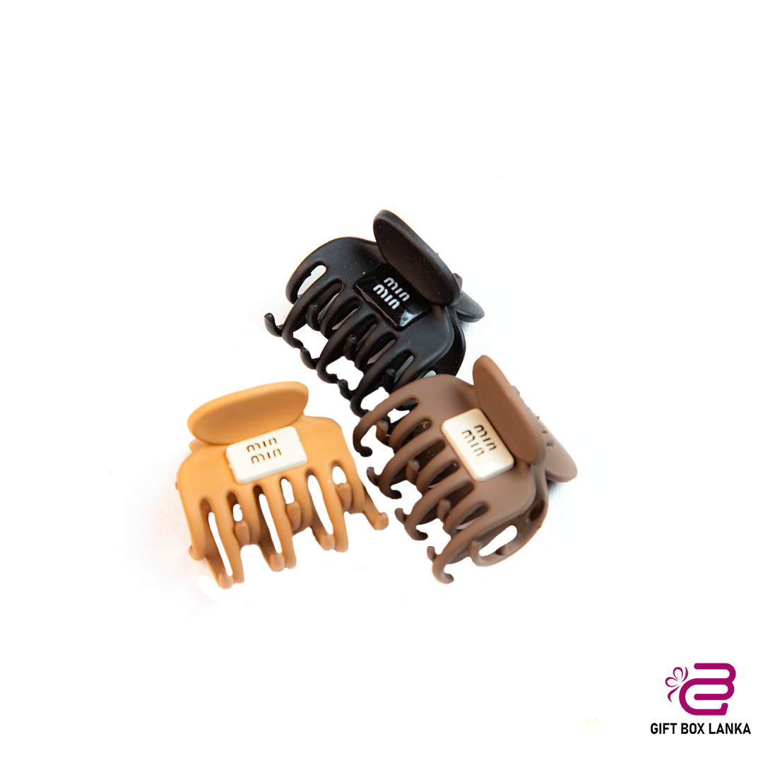 Hair Clips (D- 839)