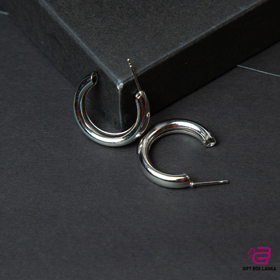 Silver Earrings  (D- 123)