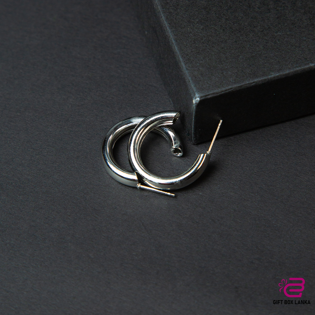 Silver Earrings  (D- 123)