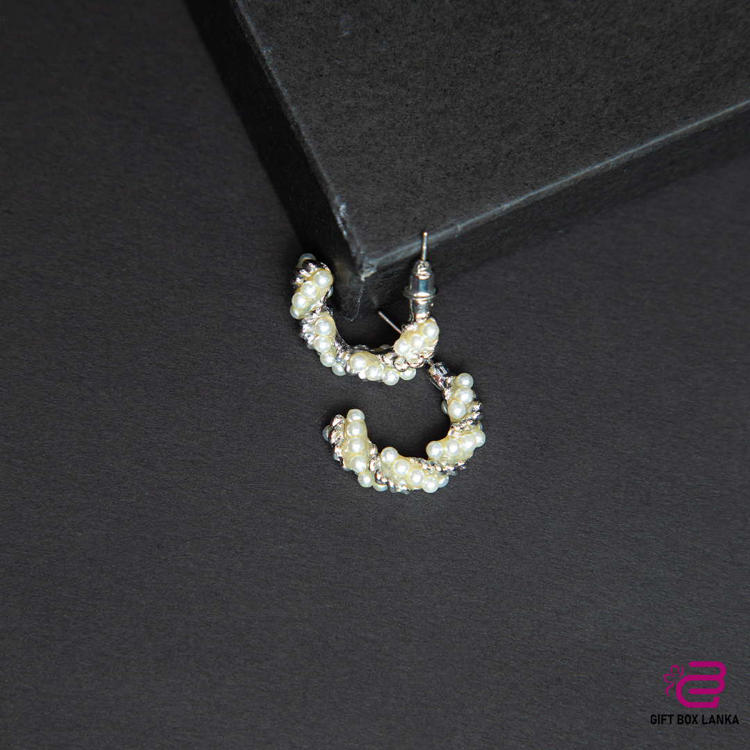 Silver Earrings (D- 125)