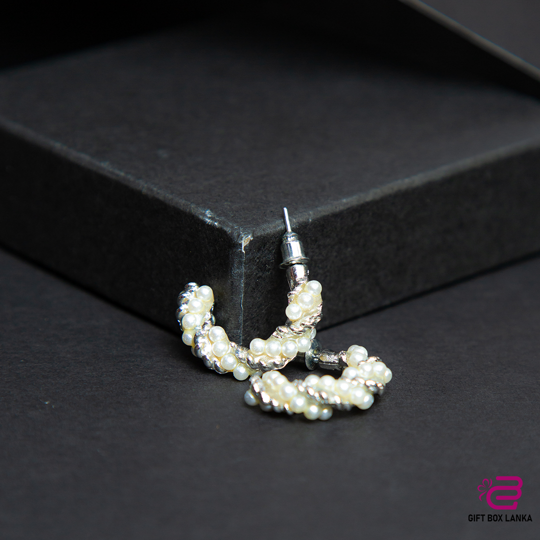 Silver Earrings (D- 125)