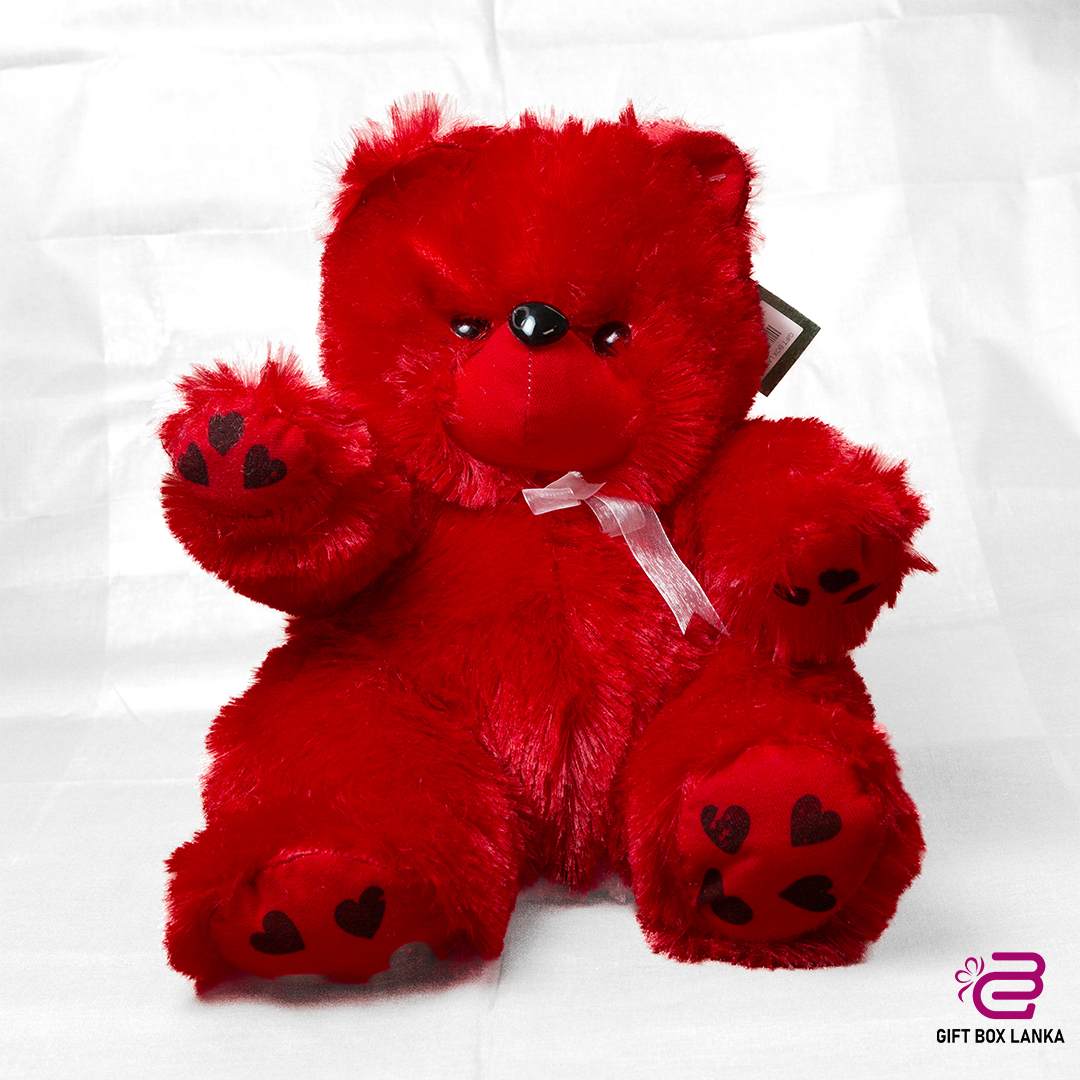 Big Loving Fluffy Teddy Bear (D- 1099)