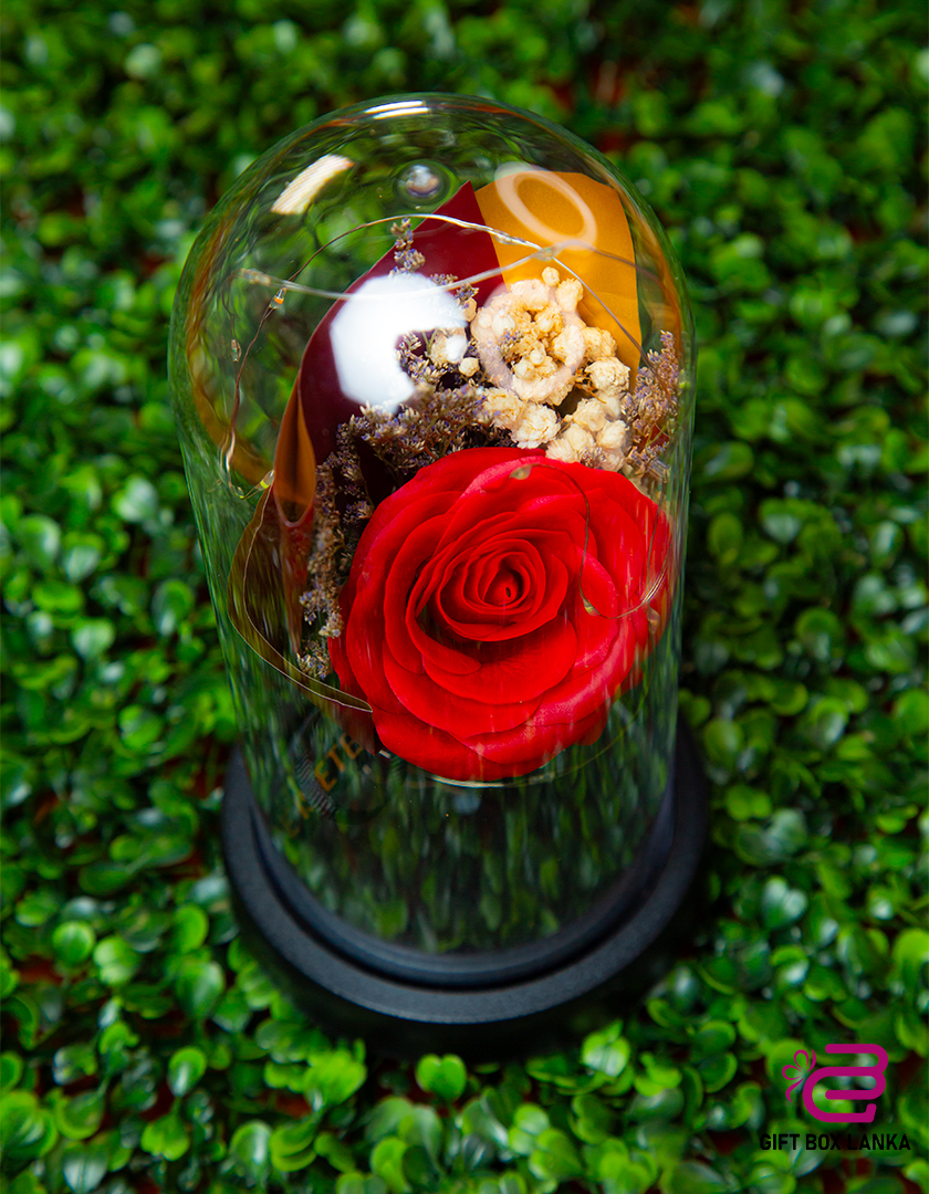 LED Light Rose Flower (D- 1200)