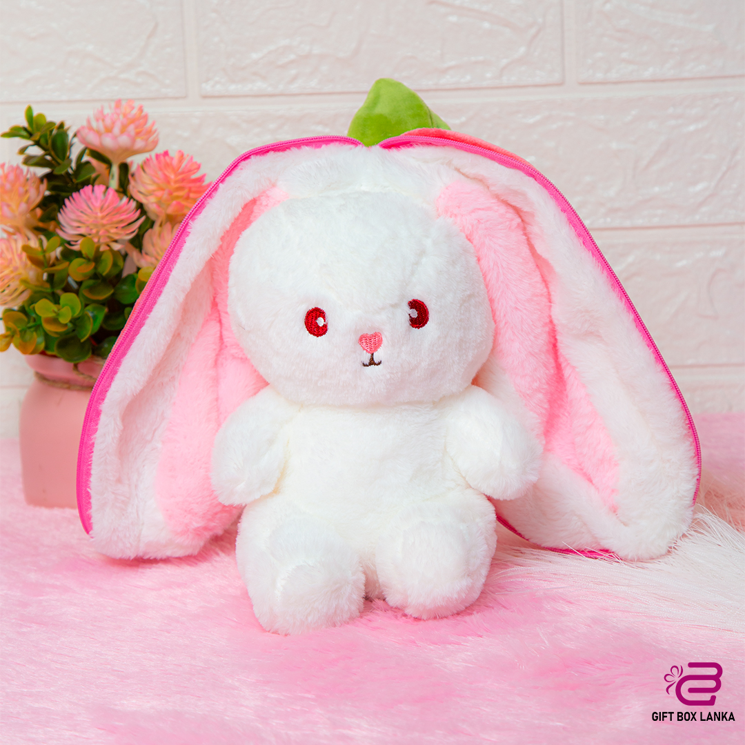 Strawberry Plush Toy (D- 381)