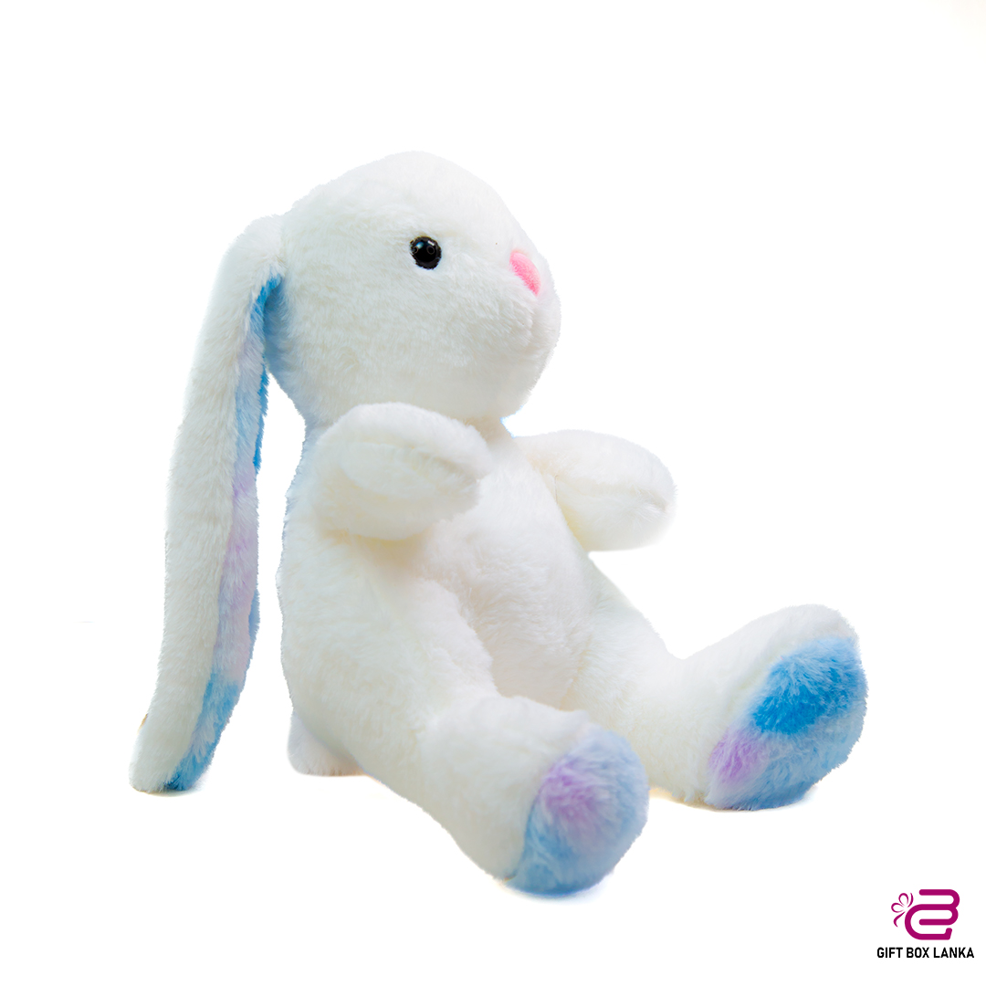 Cute Big Ear Rabbit Plush Toy (D- 1348)