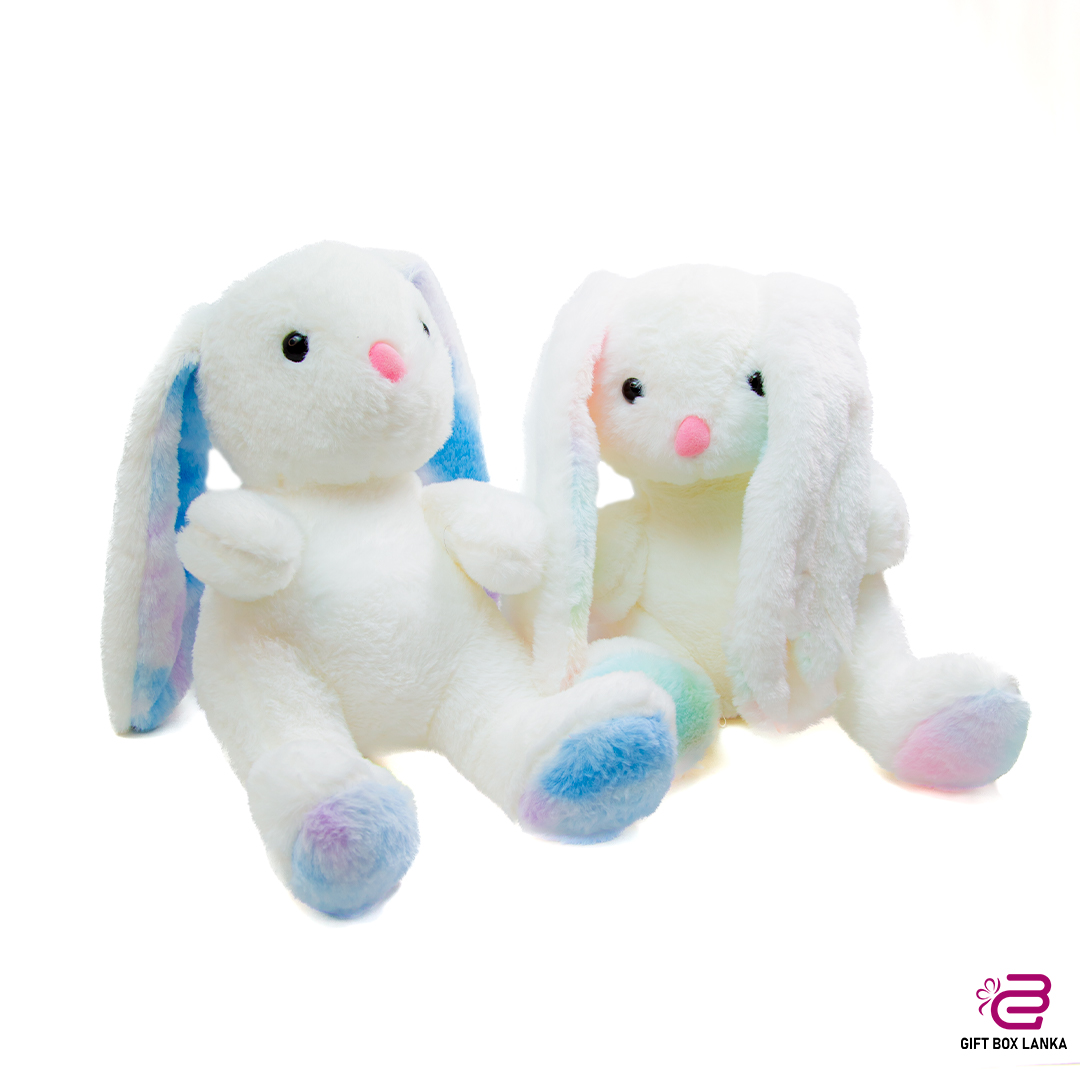 Cute Big Ear Rabbit Plush Toy (D- 1348)