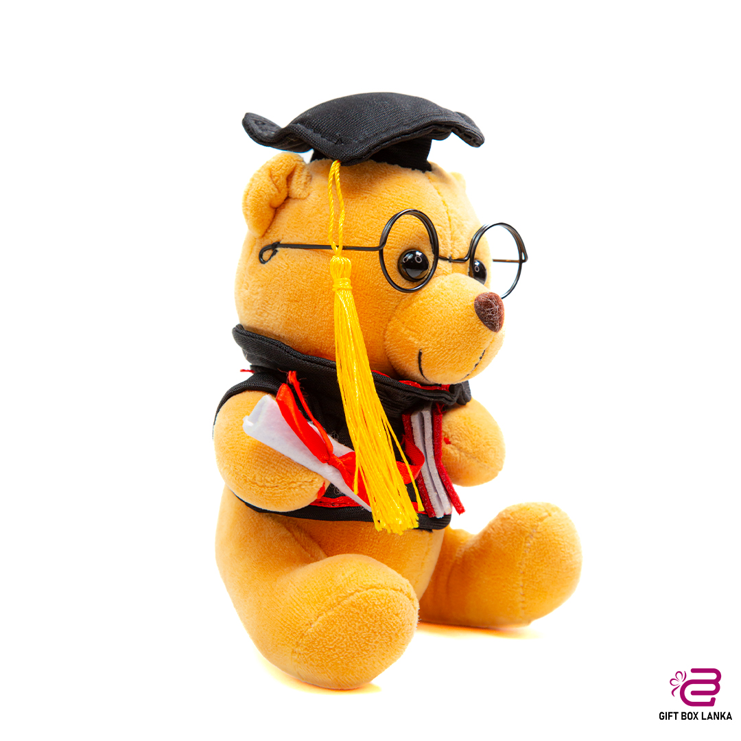 Small Graduation Teddy Bear (D- 1354)