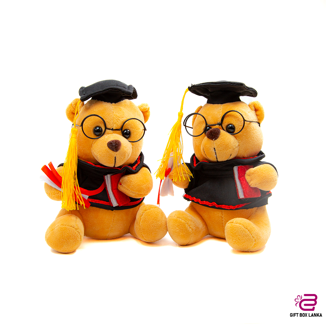 Small Graduation Teddy Bear (D- 1354)