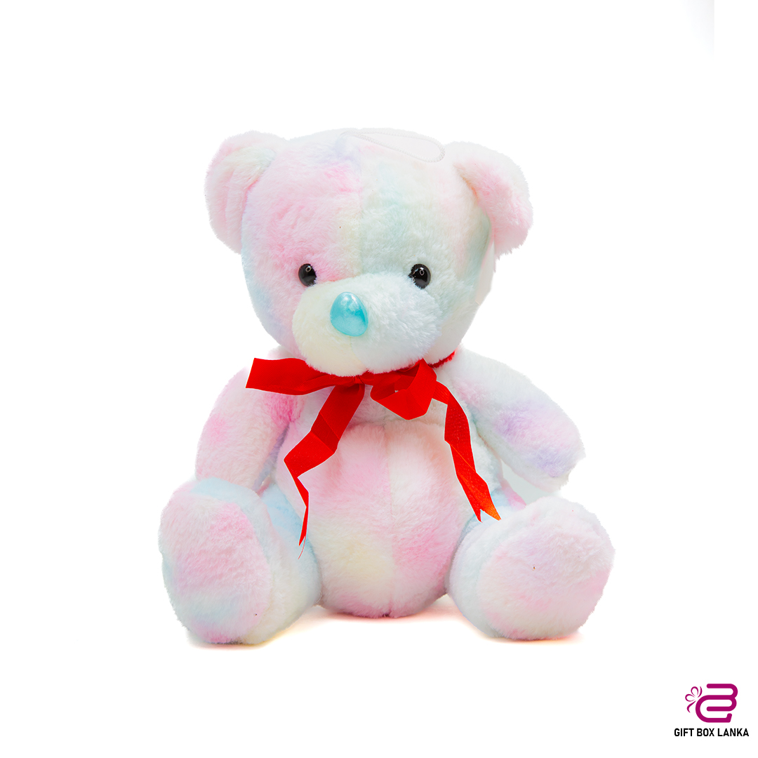 Colorful Soft Teddy Bear (D- 1352)
