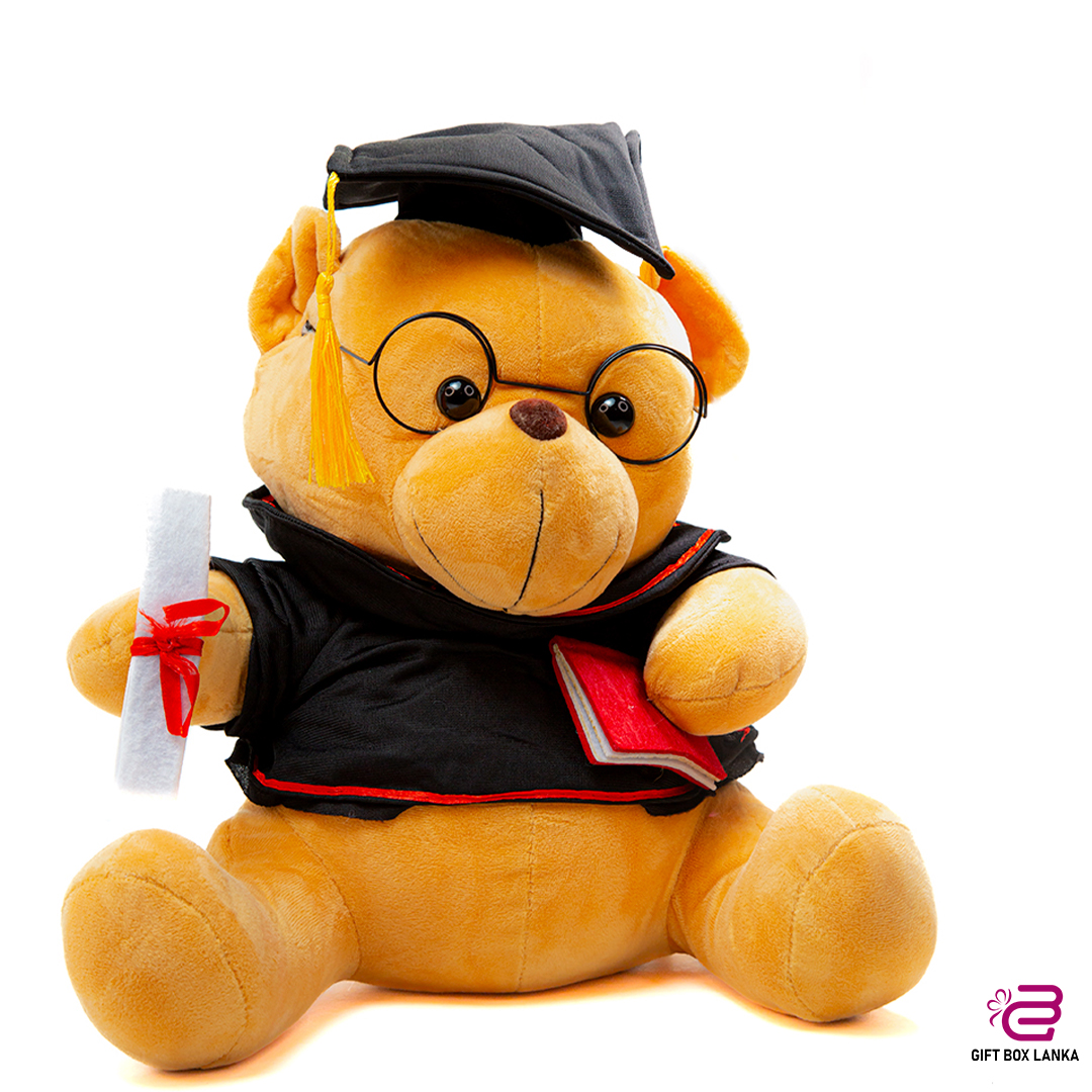 Big Graduation Teddy Bear (D- 1353)