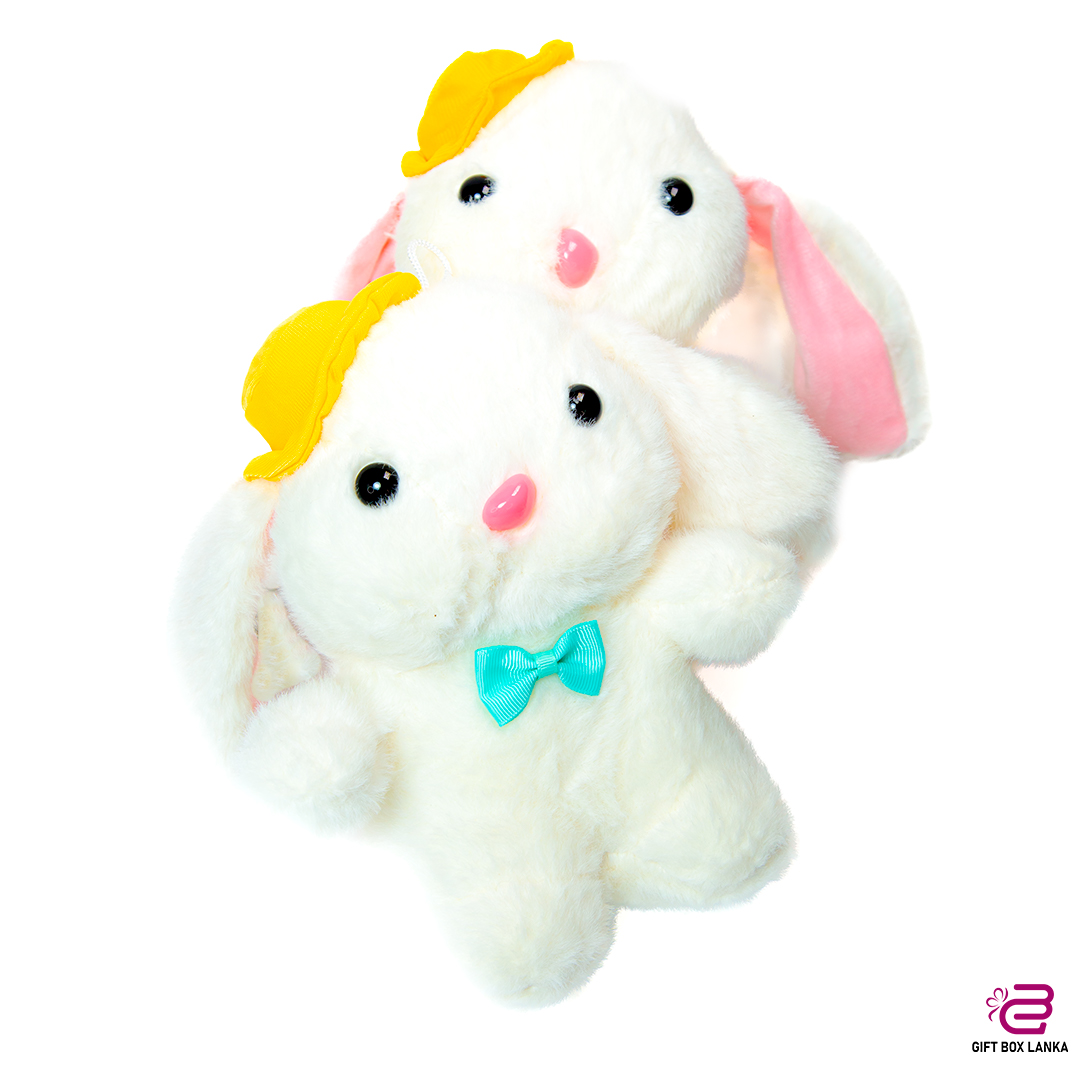 Hat Bunny Plush Toy (D- 1374)