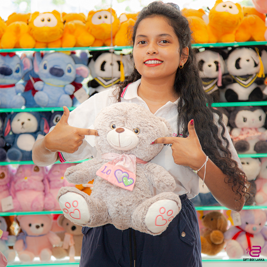 Brown Scarf Bear (D-561)